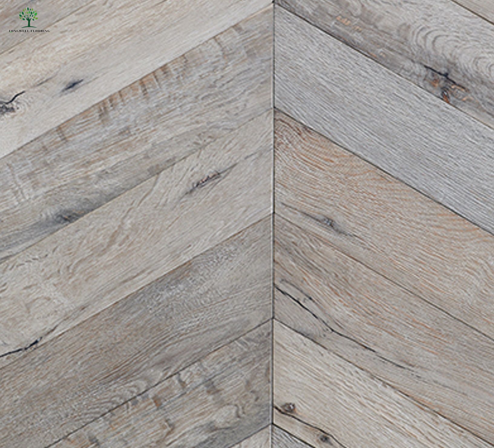 Loiro N&oacute;rdico 5